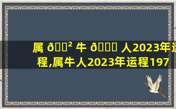属 🌲 牛 🐘 人2023年运程,属牛人2023年运程1973年木命